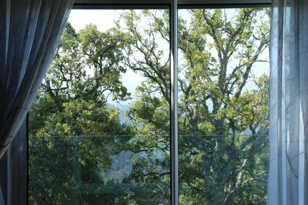 Vilafoia Monchique Exteriör bild